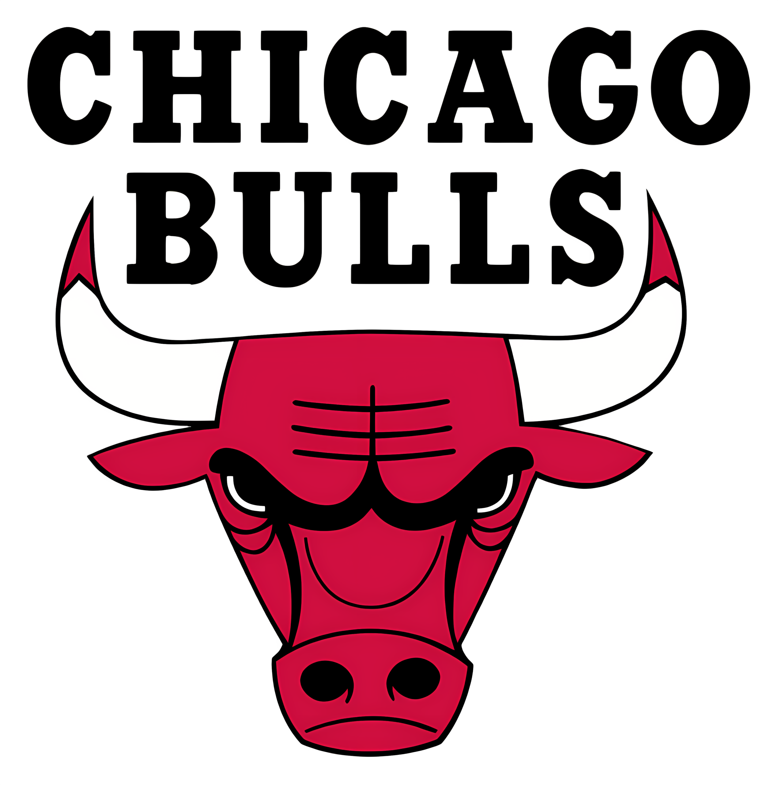 Chicago Bulls - team logo